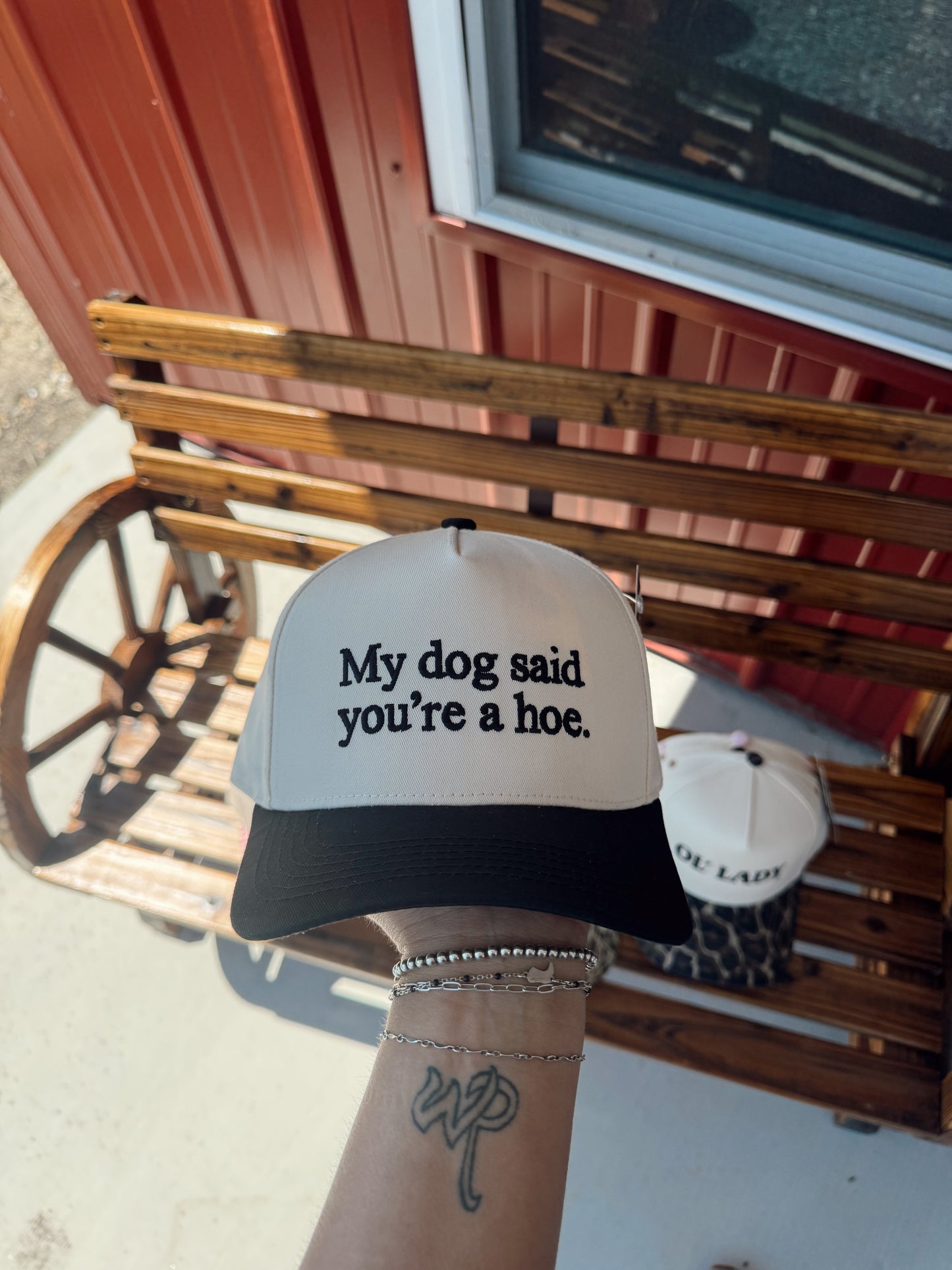 My Dog Said You're a Hoe